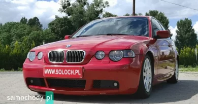 BMW 3 Seria (2004) – Benzyna